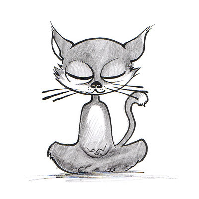 Eine Yoga Katze meditiert.